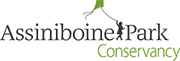 Entre les mots en noir Assiniboine Park (parc Assiniboine), l’on aperçoit la silhouette noire d’un enfant tenant un cerf-volant vert à bout de bras. Sur la deuxième ligne de texte, en vert, le mot « Conservancy » (conservation).