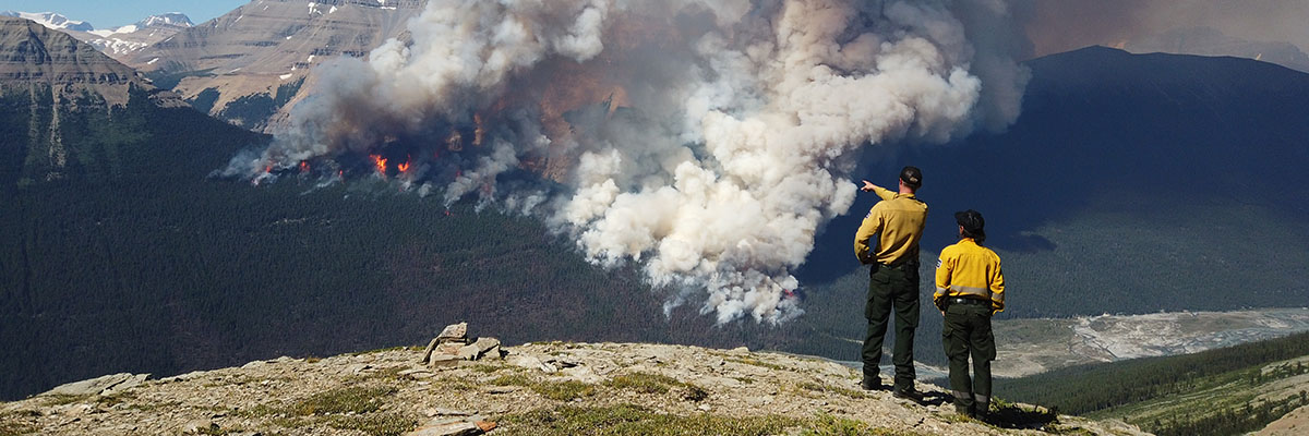 Fire technicians in protective jackets observe a prescribed fire from a lookout point. One points at a controlled fire in the mountains.