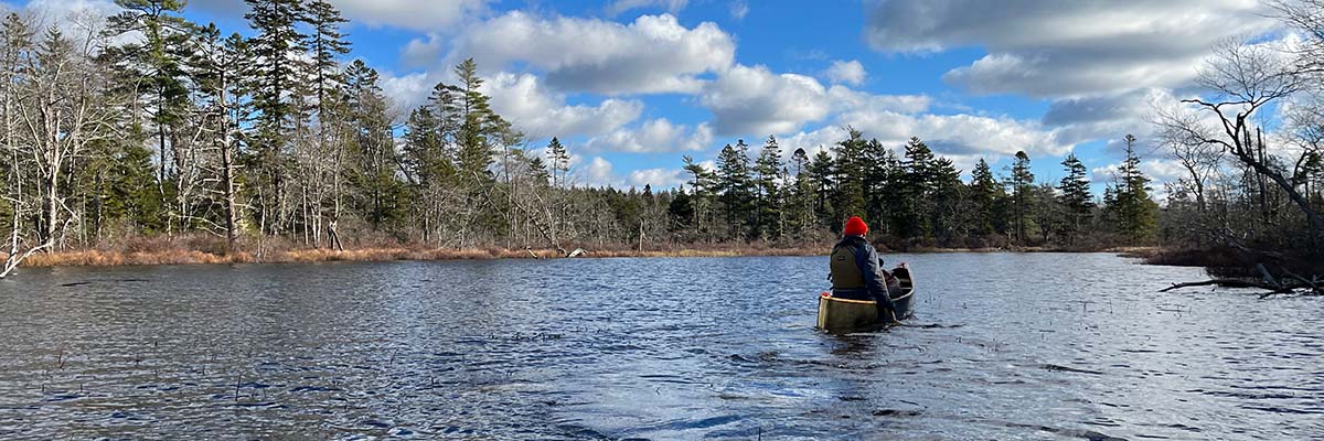 A person in a toque and coat, solo paddles a canoe on a calm lake, bordered by a late autumn boreal forest, with leafless deciduous trees.