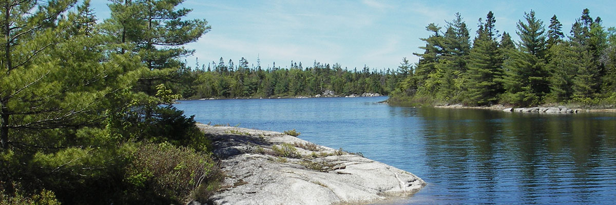 Smooth rocks meet the water of a lake. Coniferous trees line the shores, beneath a clear sky.