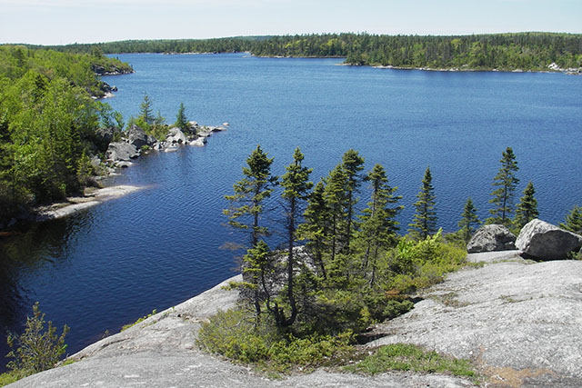 A smooth rock outcropping, scattered with coniferous trees, juts out into a calm lake with a rocky shoreline, bordered by boreal forest.