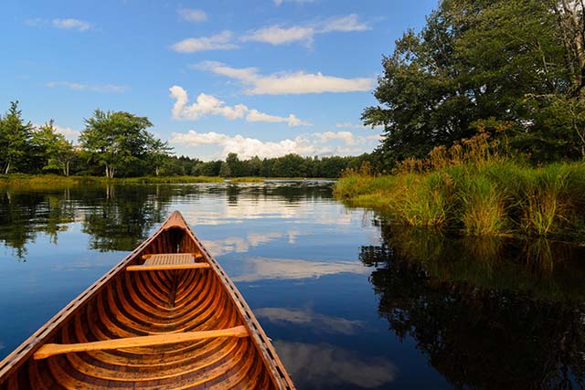 The bow of a wooden canoe in calm, reflective water. Tall grasses line the water’s edge, which is surrounded by trees and a clear sky.