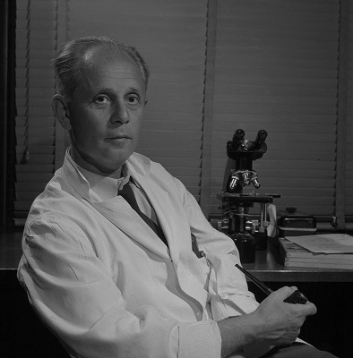 Historic photograph showing Dr. Hans Selye, Director of the Institute of Experimental Medicine and Surgery, University of Montreal, whose theories on stress inspired a new approach to médicine, June 1956. © Library and Archives Canada, National Film Board | Bibliothèque et Archives Canada, Office national du film, Chris Lund, PA-116671.