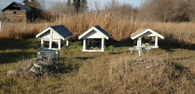 Vue générale de le cemetière catholique Ste. Anne’s, 2017. © Parks Canada, 2017