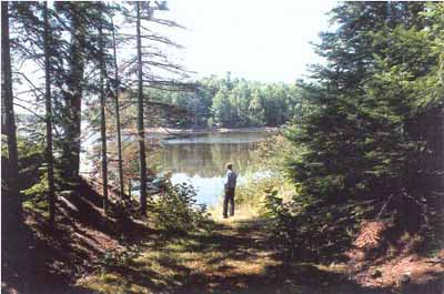 View of Boishébert, showing the viewplanes between Wilsons Point and Beaubears Island that are reminiscent of their shared history as an Acadian refuge. © Agence Parcs Canada / Parks Canada Agency, Ian Doull, 1999.