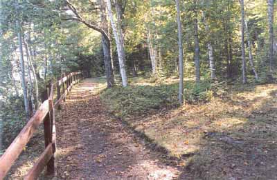 View showing the pathway at Wilsons Point. © Agence Parcs Canada / Parks Canada Agency, Ian Doull, 1999.