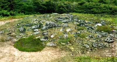 General view of L'Anse Amour showing the site’s coastal setting on a flat, open area. © Parks Canada Agency | Agence Parcs Canada