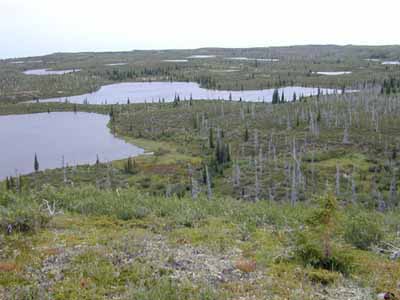 Vue générale de lieu historique national du Canada Sahoyúé-§ehdacho, qui montre la grande qualité de l’environnement et de la biodiversité apparente dans les reliefs naturels, la flore et la faune. © Parks Canada Agency/Agence Parcs Canada.