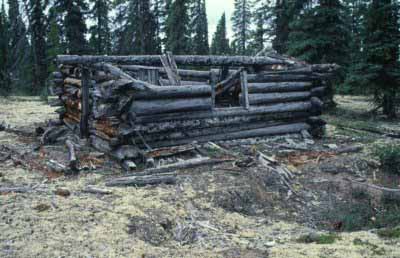 Vue générale du lieu historique national du Canada Sahoyúé-§ehdacho, qui montre une cabane tel que trouvée. © Parks Canada Agency/Agence Parcs Canada