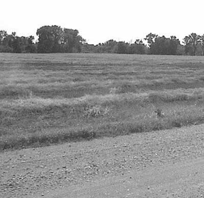 View of the fields surrounding Fort Dufferin. © Parks Canada Agency / Agence Parcs Canada.