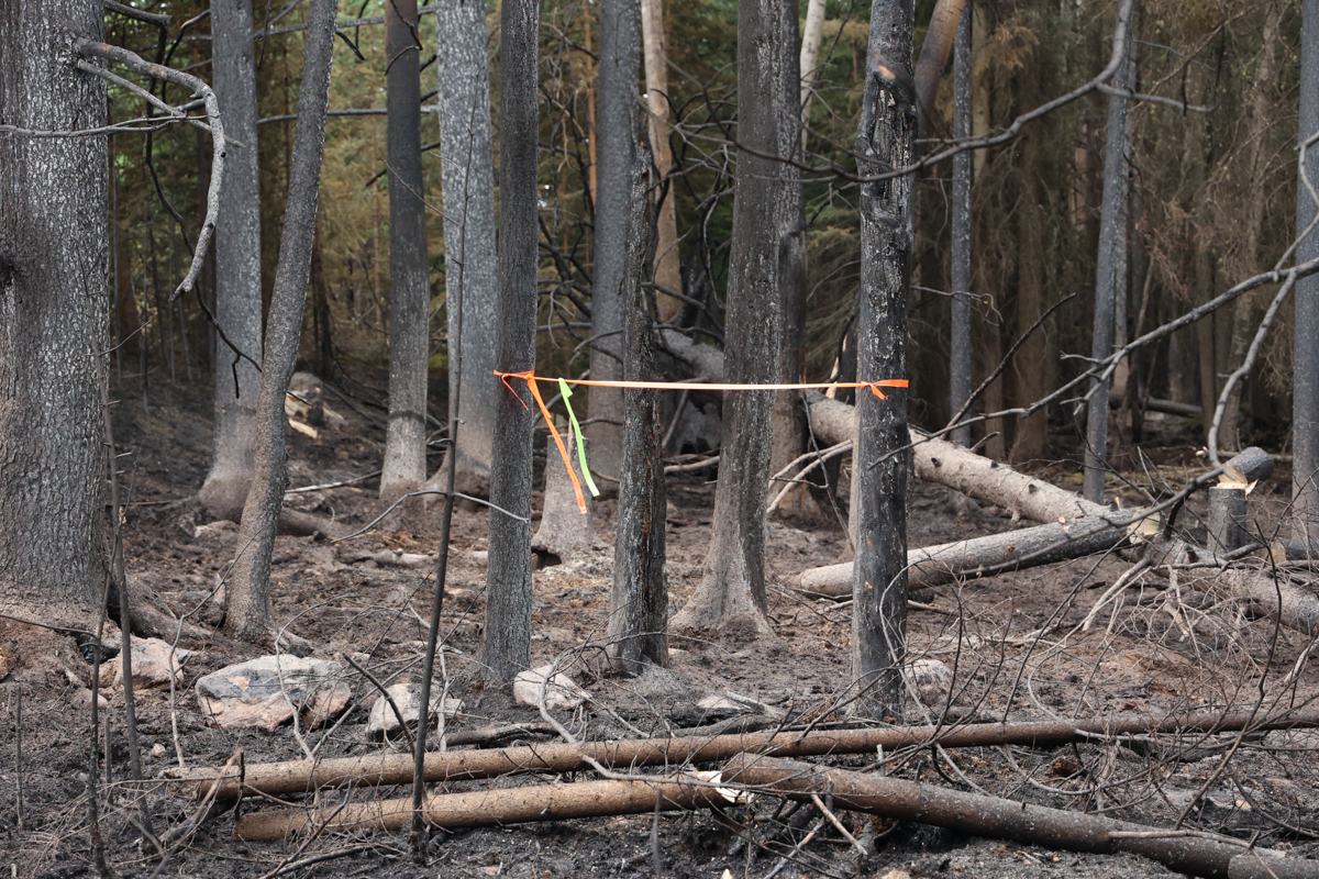 Kerkeslin Campground, August 7, 2024