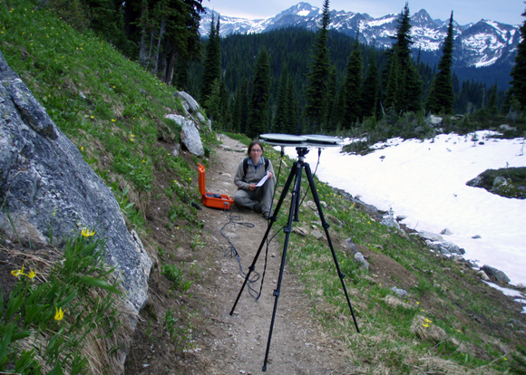 Monitoring birds with sound technology.